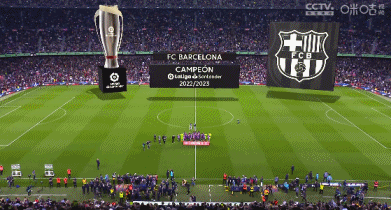 球迷：这就是我爱篮球的原因（球迷心声：我为何钟爱篮球）